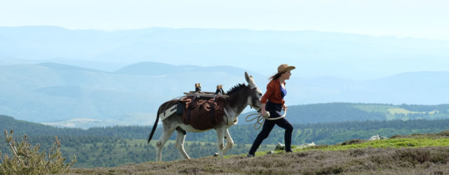Antoinette dans les Cévennes