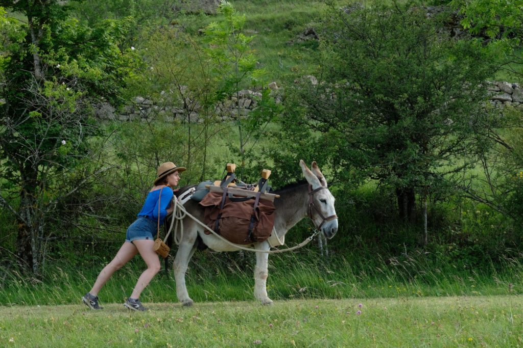 Antoinette dans les Cévennes